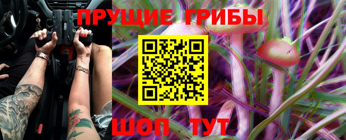 Галлюциногенные грибы мицелий Дубна