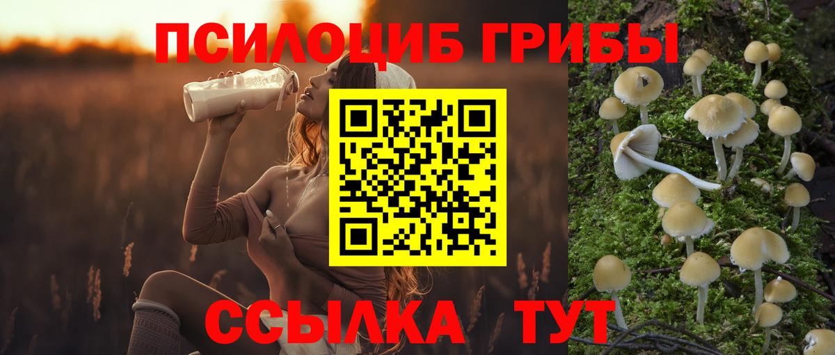 Псилоцибиновые грибы прущие грибы  Галлюциногенные грибы мицелий  Вход с VPN  купить наркоту  Дубна 